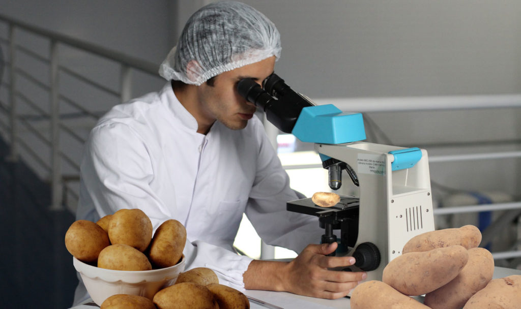 A Tampa Scientist is being hailed a hero after discovering a potato in a lab