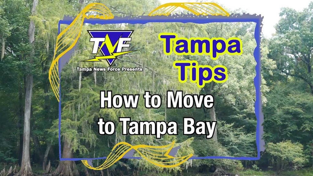 A guide on how to move to Tampa Bay