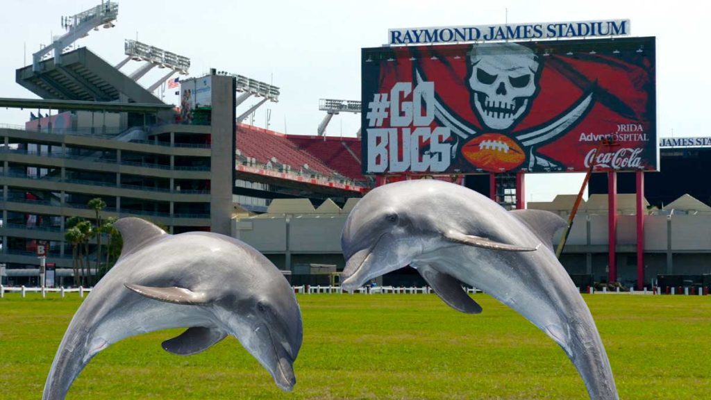 Miami dolphins move to Tampa Bay