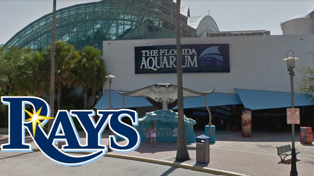 The Tampa Bay Rays will now call the Florida Aquarium Home