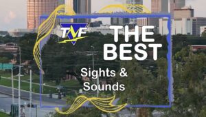 Best Views and Sounds of Tampa Bay