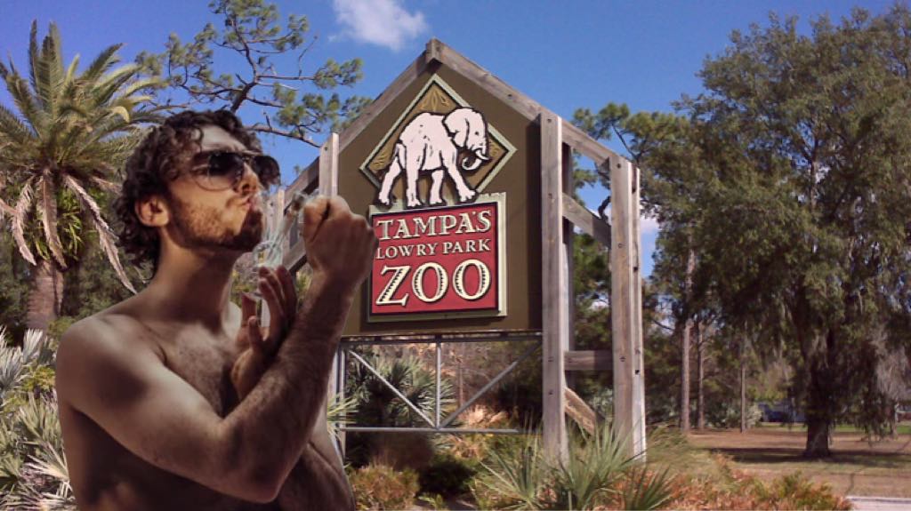 Zoo Bong