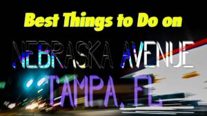 Best Things to Do on Nebraska Avenue Tampa