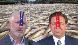 Political bickering between DeSantis and Kriseman hampering red tide relief efforts