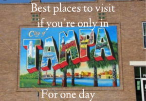 Best places to visit if you’re only in Tampa for one day