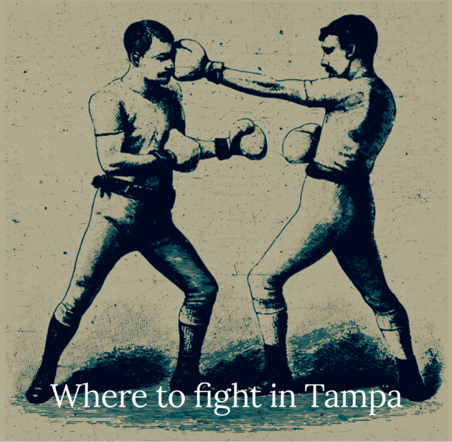 Where to fight in Tampa