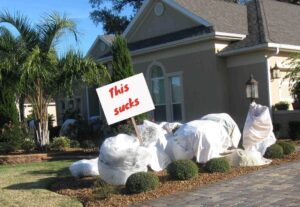 Plant abuse up among Tampa Bay residents