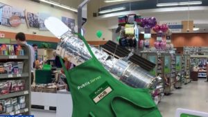Hubble telescope takes job as grocery bagger at Publix