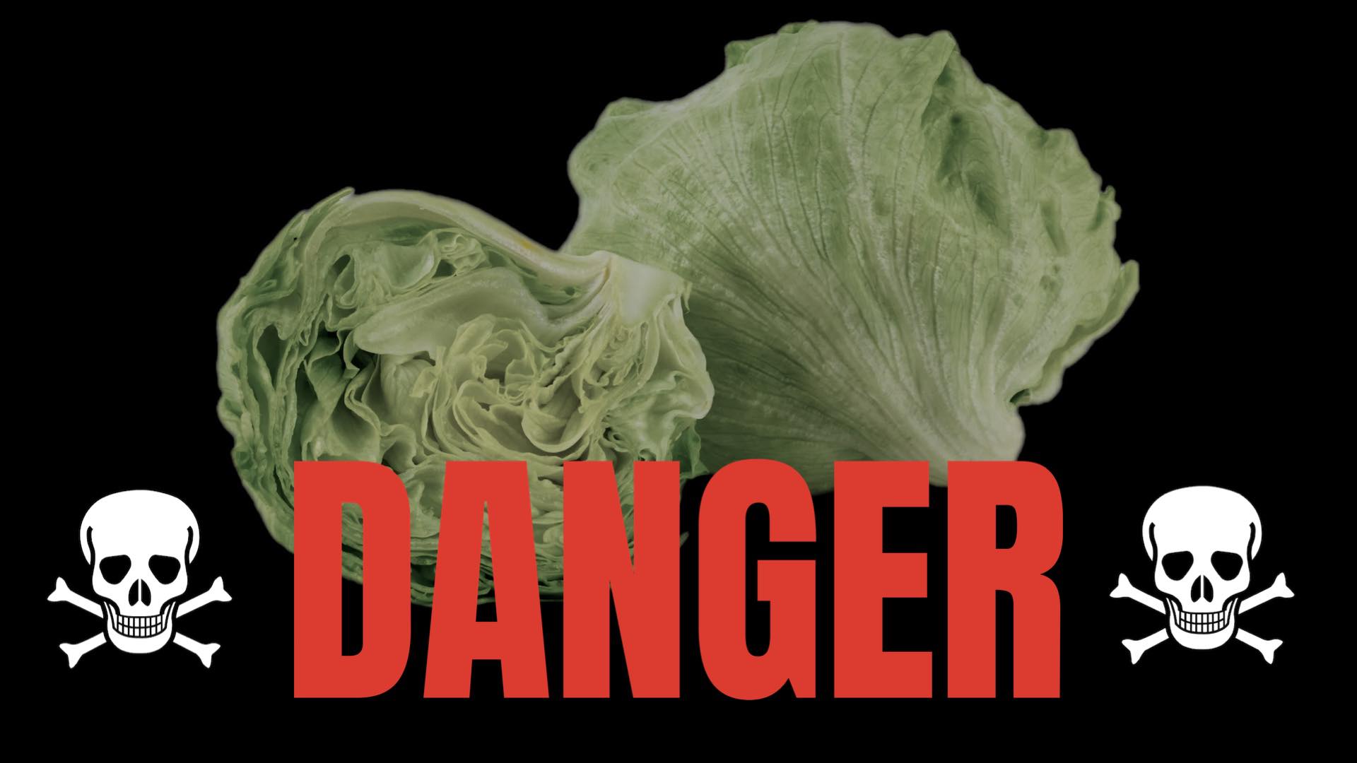 fda-determines-that-lettuce-is-bad-for-you-tampa-news-force