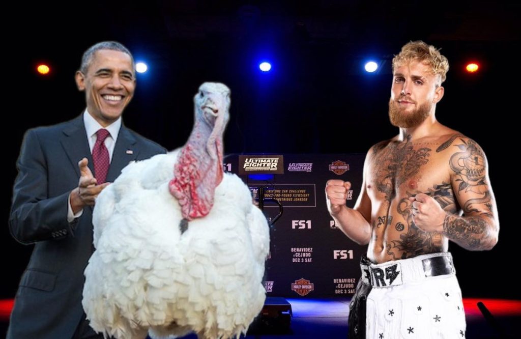 turkey fight