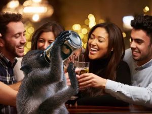 Drunk Animal Zoo Opens in Tampa